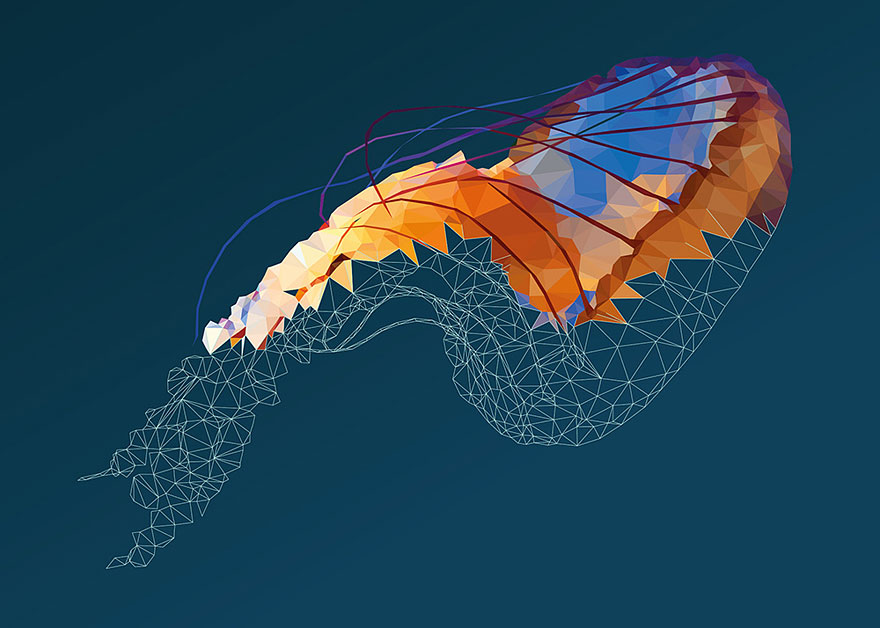 underwater-low-poly-illustrations-mordi-levi-6 underwater-low-poly-illustrations-mordi-levi-6