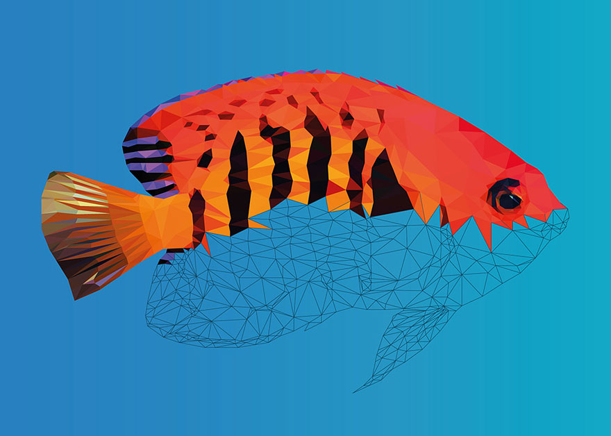 underwater-low-poly-illustrations-mordi-levi-7