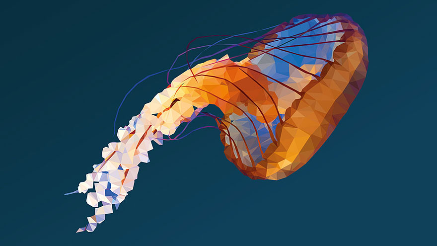 underwater-low-poly-illustrations-mordi-levi-8 underwater-low-poly-illustrations-mordi-levi-8