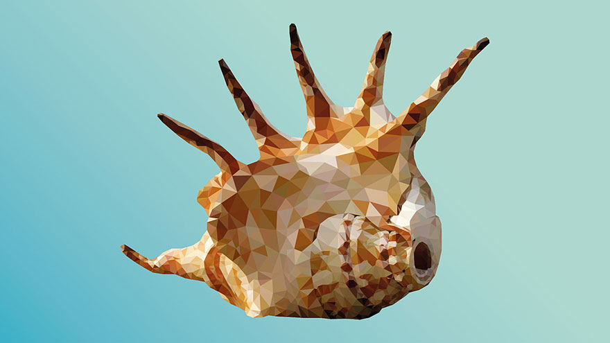 underwater-low-poly-illustrations-mordi-levi-9