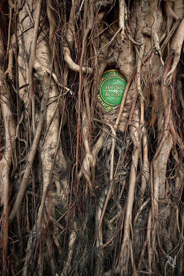 Plants Winning A Fight Against Concrete