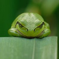 katalin-balint-37 avatar