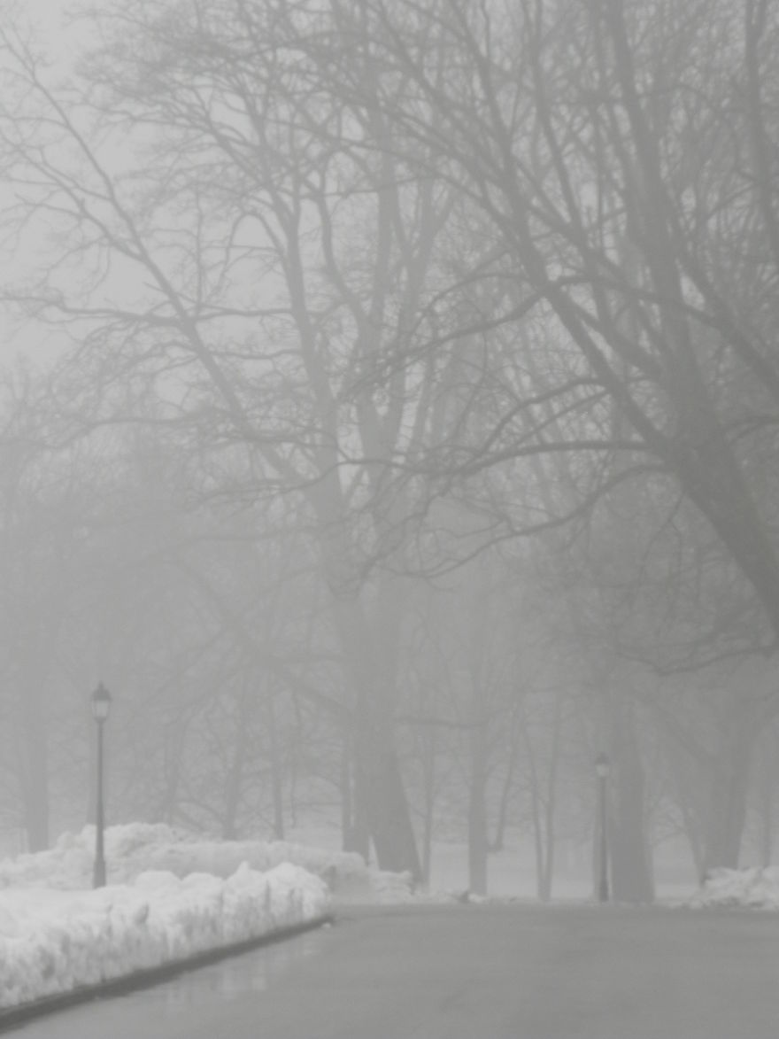 Foggy Road, Slovenia