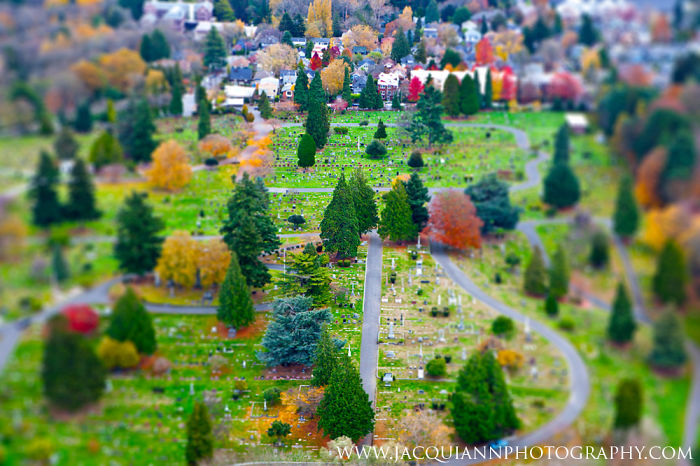 Tiny Seattle: I Photographed Pacific Northwest From A Seaplane