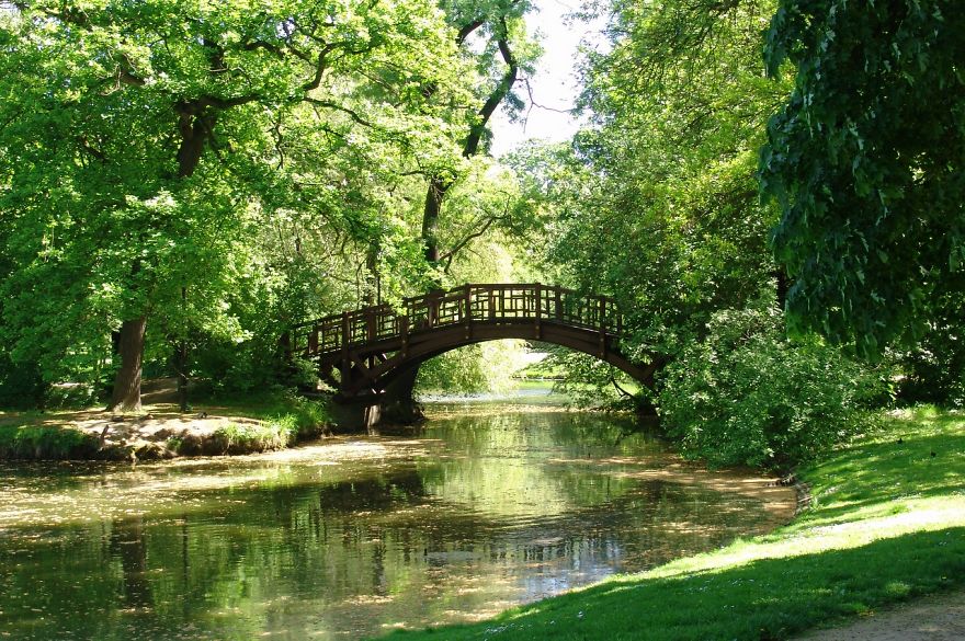 Wooden mystical bridge over a calm stream surrounded by lush green trees in a serene natural setting.