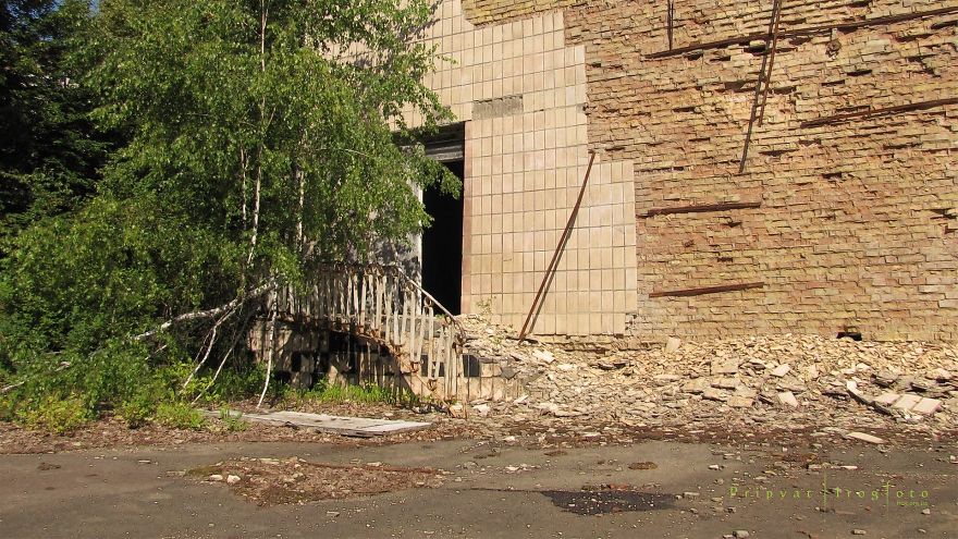 Life In Chernobyl After The Accident: Nature Wins The Battle Against Civilization Life In Chernobyl After The Accident: Nature Wins The Battle Against Civilization