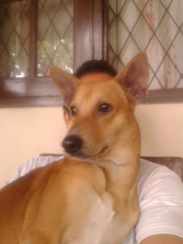 Almost A Perfect Merge ;-)