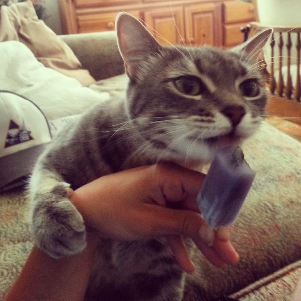 Busy Comes Out Of Nowhere When There's A Popsicle Involved