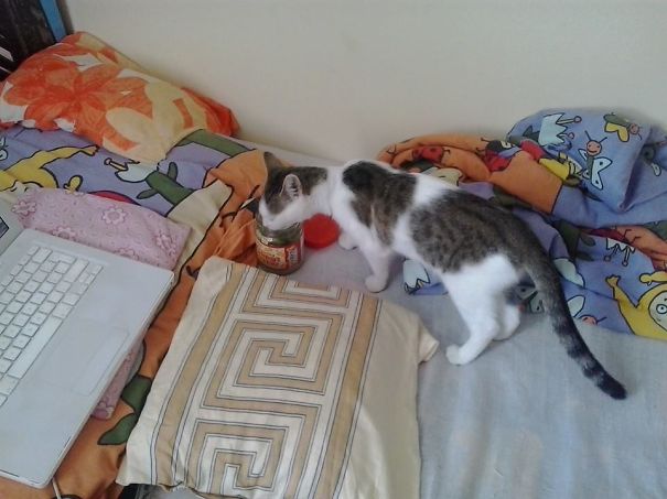 When Nobody's Watching