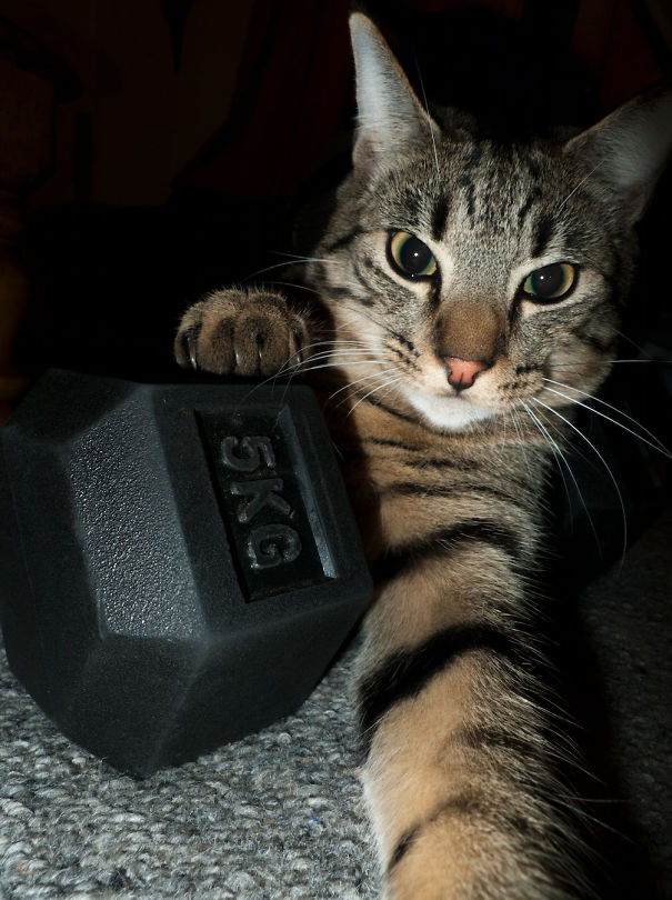 #121 “it Is My Dumbbell Now!”