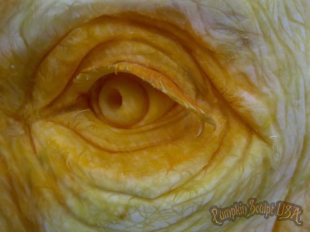 900lb Pumpkin Carving Raises Awareness Of Elephant Killings