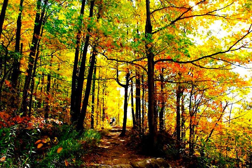Rattlesnake Point, Ontario