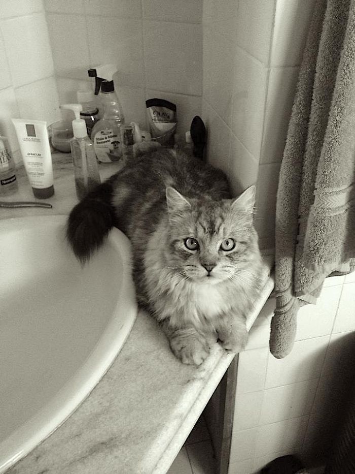 Harbs From Karachi, Pakistan