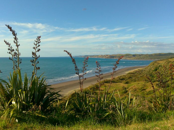 Raglan, North Island, New Zealand