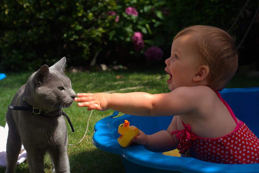 Kiara And Her Russian Blue Best Friend (rbbf)