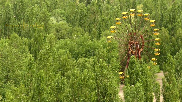 Life In Chernobyl After The Accident: Nature Wins The Battle Against Civilization