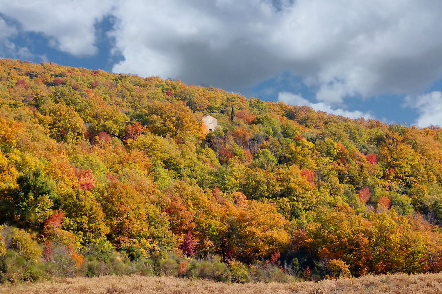 My House In The Hood, Alta Maremma, Toscany