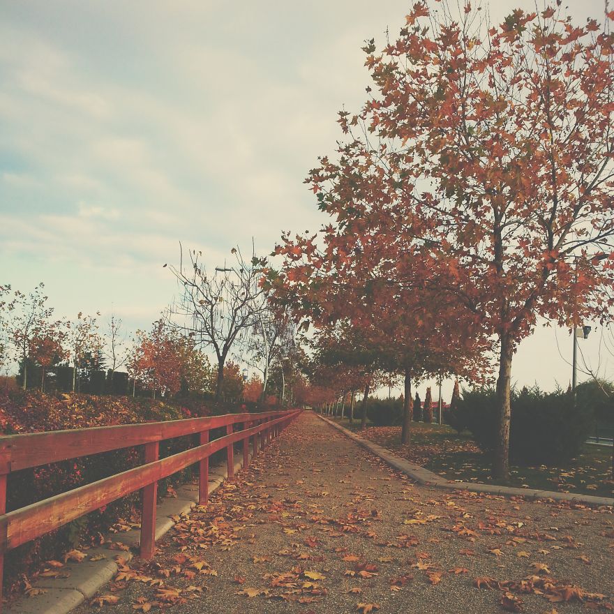 Fall In Eskisehir, Turkey.