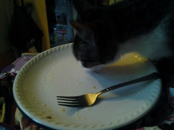 Rosie Finishing Off My Peas