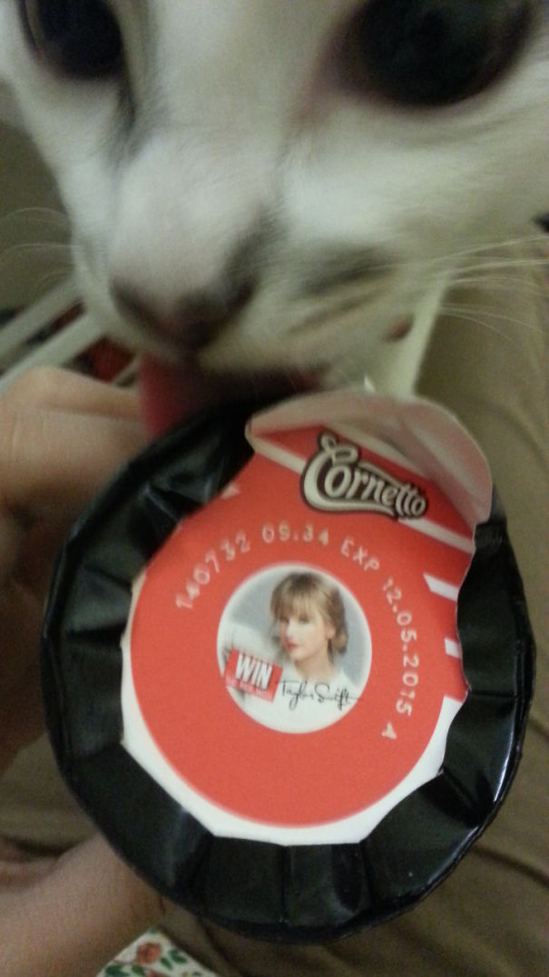 A Big Fan Of Taylor Swift's Ice Cream