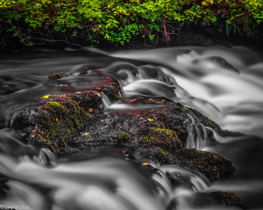 The Rush Of Autumn ....