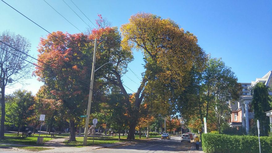 The Last Breath Of Summer.