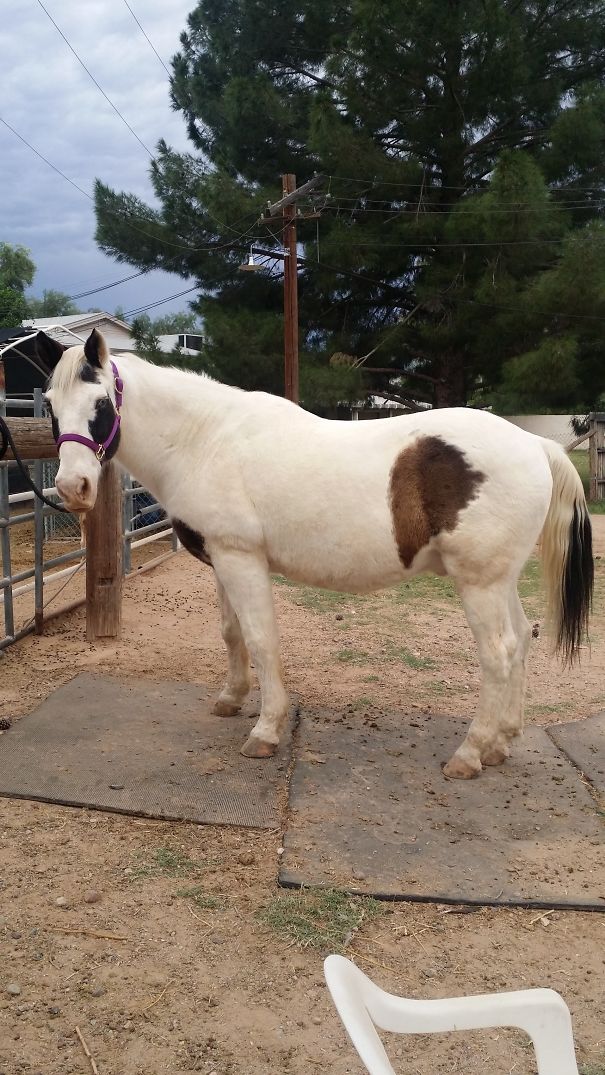 My Mighty Steed♡ Guess His Age...