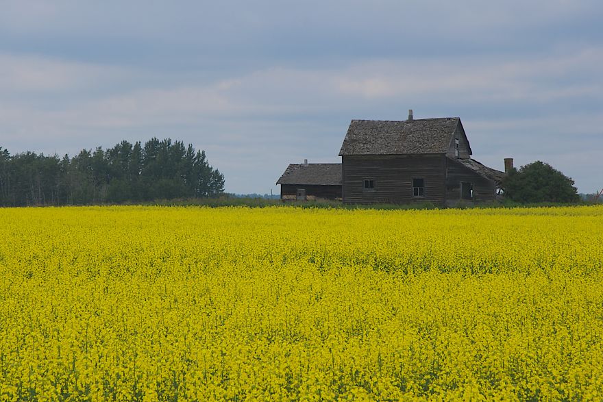 And It Was Called Yellow