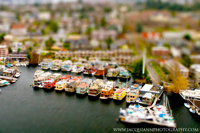 Tiny Seattle: I Photographed Pacific Northwest From A Seaplane Tiny Seattle: I Photographed Pacific Northwest From A Seaplane