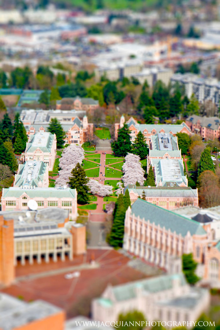 Tiny Seattle: I Photographed Pacific Northwest From A Seaplane