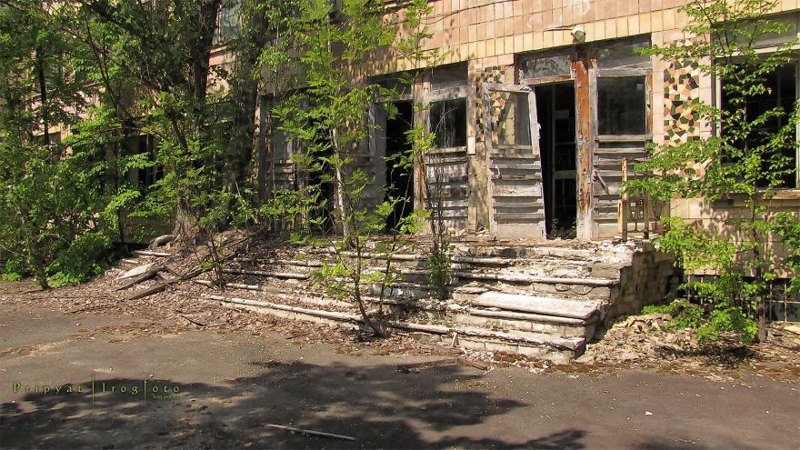 Life In Chernobyl After The Accident: Nature Wins The Battle Against Civilization Life In Chernobyl After The Accident: Nature Wins The Battle Against Civilization