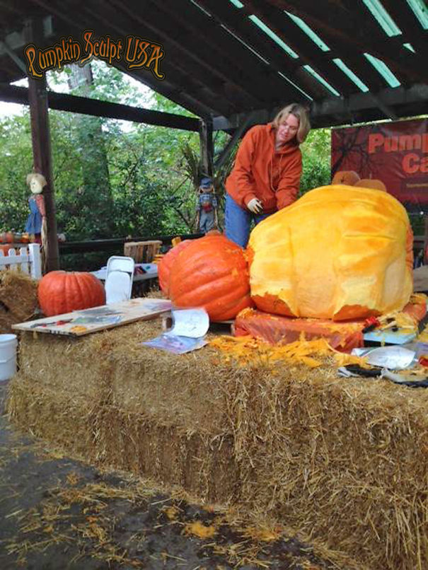 900lb Pumpkin Carving Raises Awareness Of Elephant Killings