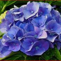 barriann.lyons.9 avatar