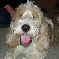 taylorharleytayhd avatar