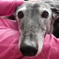 jody.ritter.3 avatar