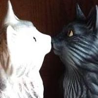 sherry-forbesfindlay avatar