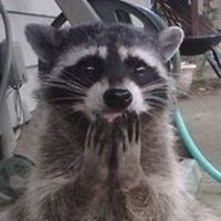 maria.masamune.walsh avatar