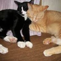 neverlosehopefaith avatar