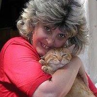 dorit.barzakay avatar