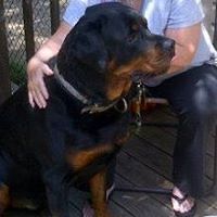 colleen.mooney.77 avatar