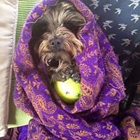 mel.davies.3781 avatar