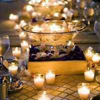 stephanie-lobaugh-9 avatar