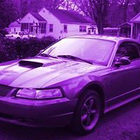 marcella.jean1 avatar