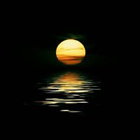 stefanie-hofer3 avatar