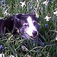 john-lyttle-543 avatar