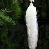 kelly.wurzer.9 avatar