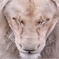 melissabaker1029 avatar