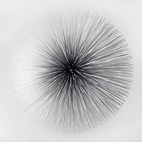 naomi.courtney.shadle avatar