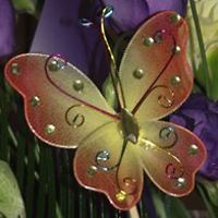 nuttywench1966 avatar