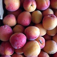 claire-oconnor-1253 avatar